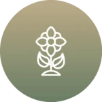 Icône fleur